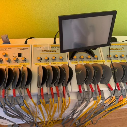 11e4a4de-4cf9-48cd-9a93-d1951467834a